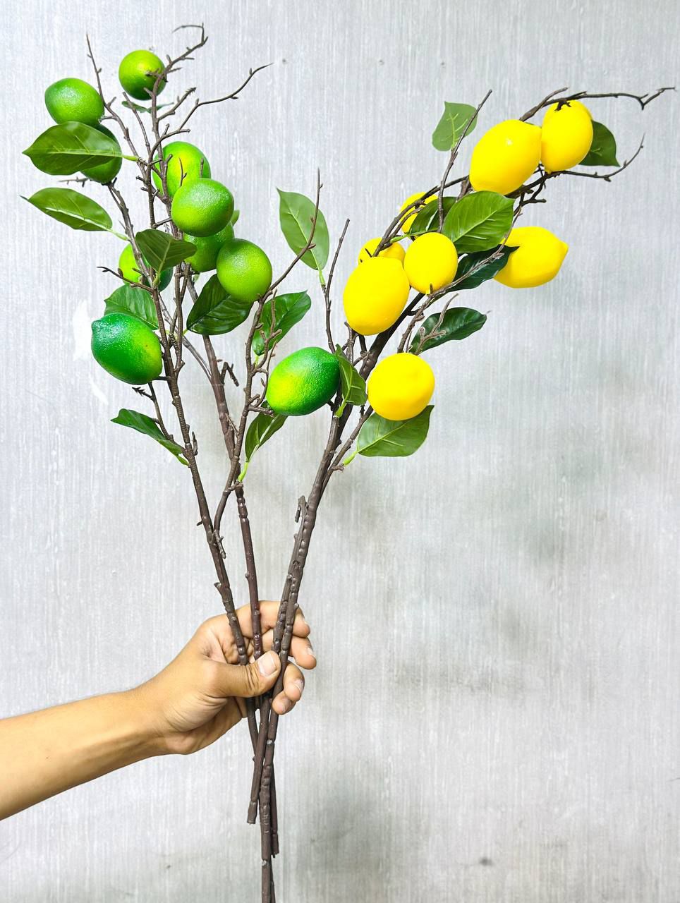 شاخه لیمو وارداتی دکوری