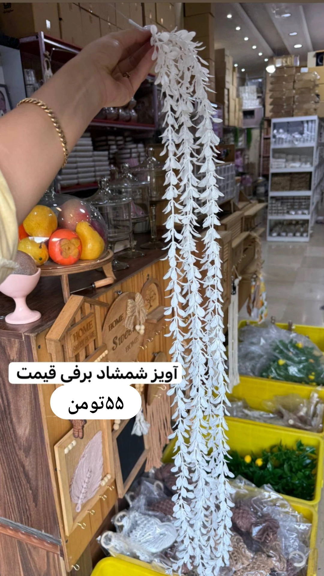 شمشاد برفی بلند